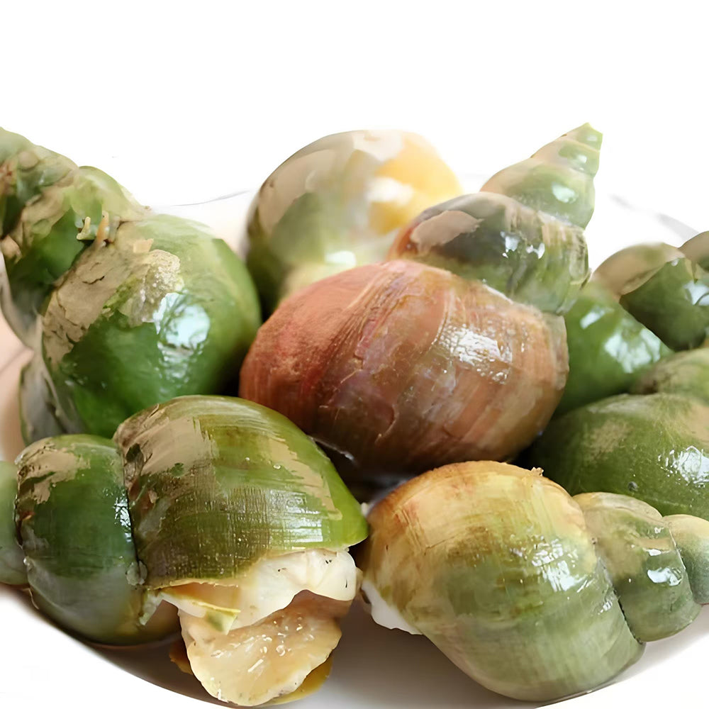 Oceans-888-Frozen-Cooked-Pila-Snail---1kg-1