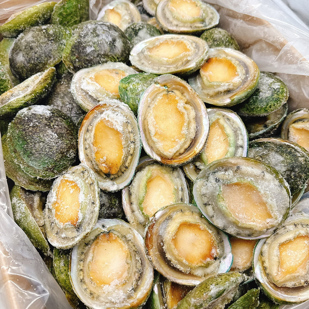 South-Australian-Greenlip-Abalone-10-11-Pieces-900-1000g-1