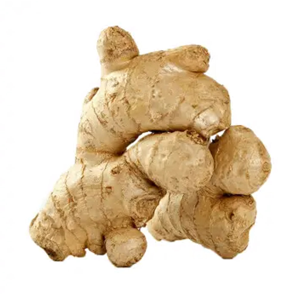 [Fresh]-Green-Leaf-Farm-Large-Ginger-Approximately-300g-1