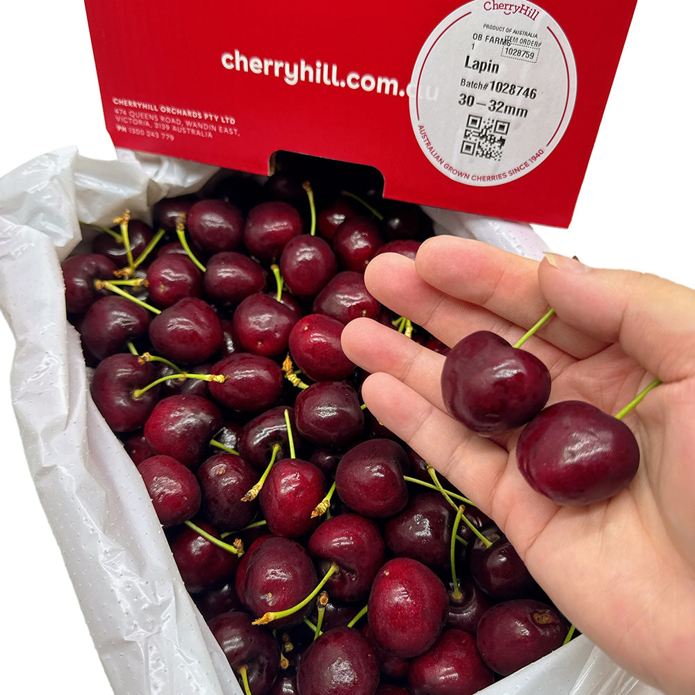 CherryHill-Lapin-Cherries-Gift-Box-30-32mm---2kg-1