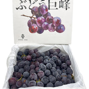 Best Sellers at UMall Australia