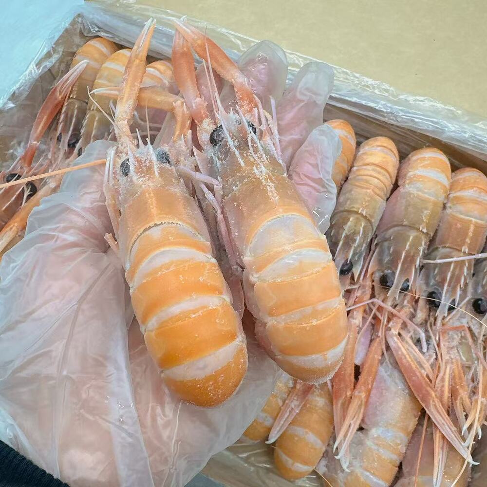 Austfish-Export-Grade-Wild-Scampi-(Langoustine)-No.4-–-1kg-Box-2