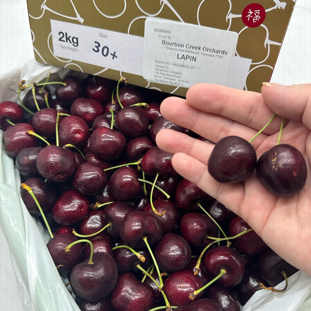 Bourbon-Creek-Lapin-Cherries-Gift-Box-30mm+---2kg-1