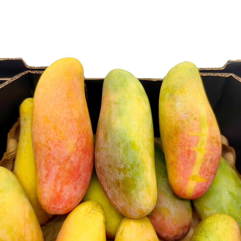 Maha-Mangoes---2-Pieces-1