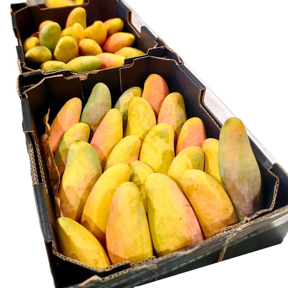 Maha-Mangoes---2-Pieces-1