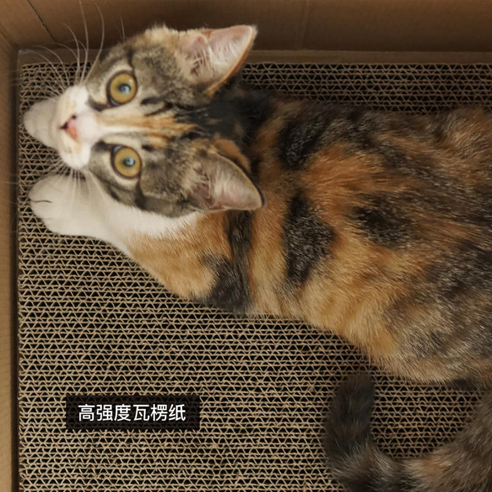 Purroom-New-Cat-Scratching-Box---Chicken-Pattern-1