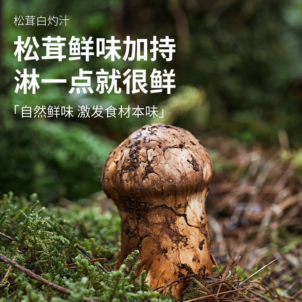 Songxian-Fresh-Matsutake-Mushroom-in-White-Broth-Sauce-310g-1