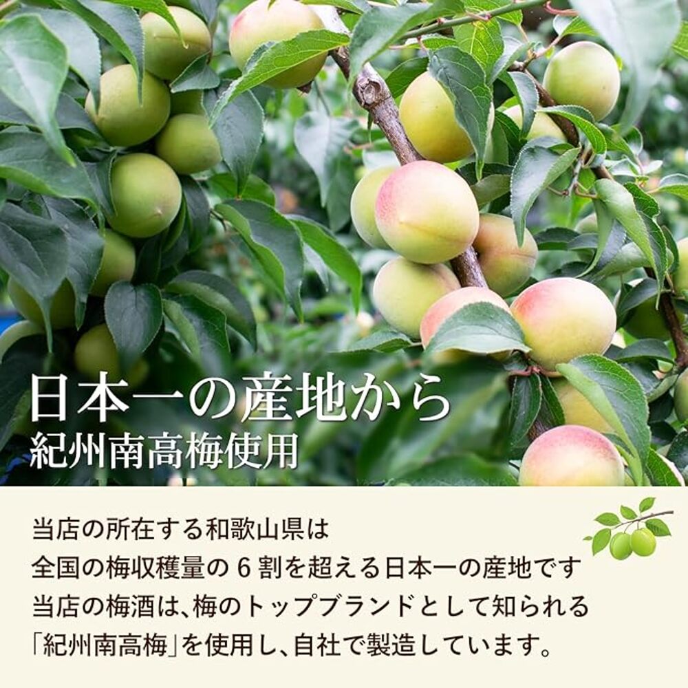 Kishu-Umeshu-(Wakayama-Plum-Wine)-Cup-–-9%-ABV,-100ml---Japanese-Plum-Liqueur-3