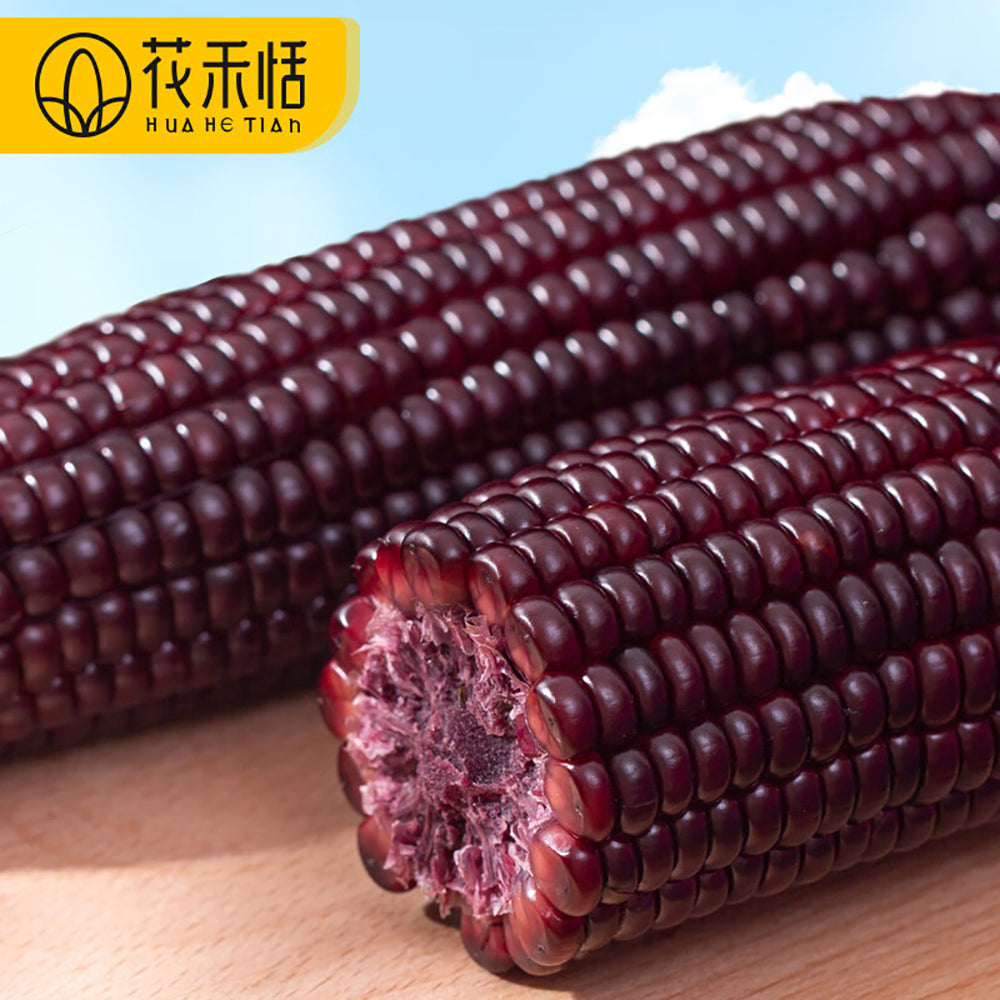 Hua-He-Tian-Black-Glutinous-Corn---200g-1