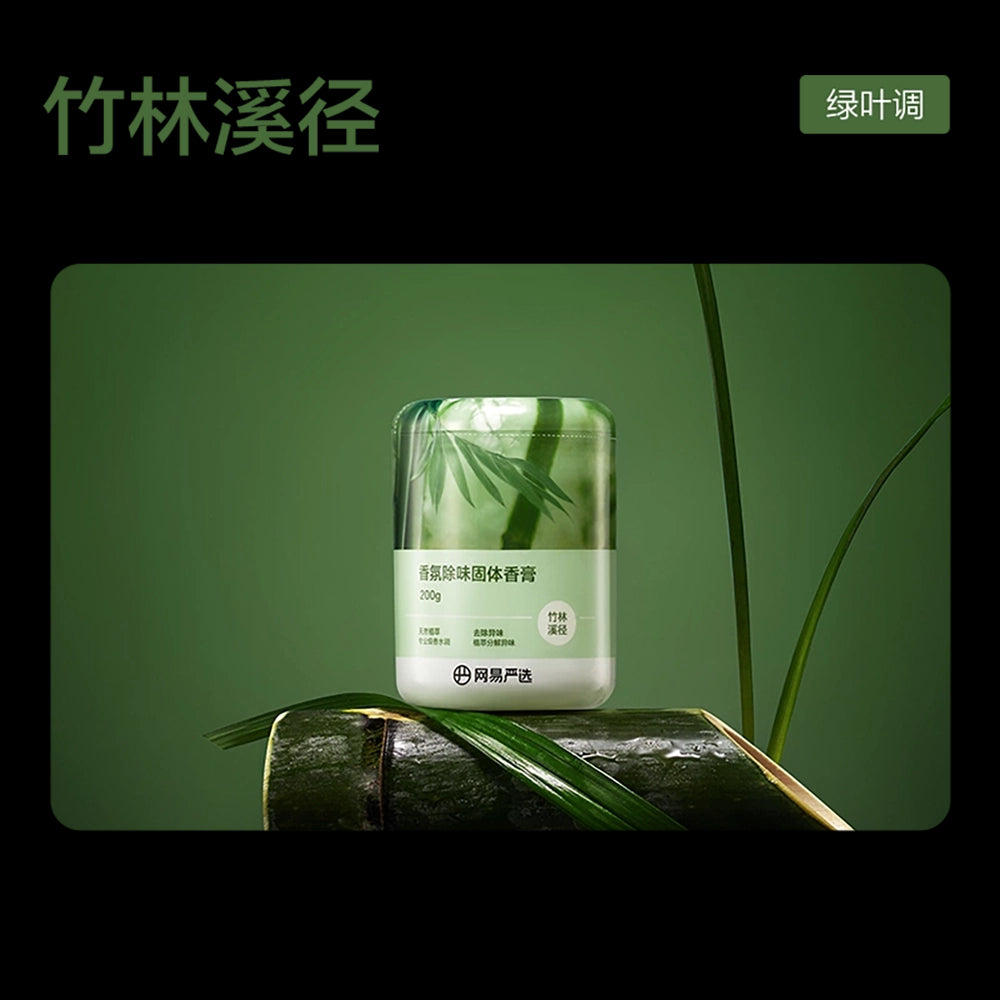 Lifease-Deodorizing-and-Formaldehyde-Removal-Car-Air-Freshener---Bamboo-Forest,-200g-1