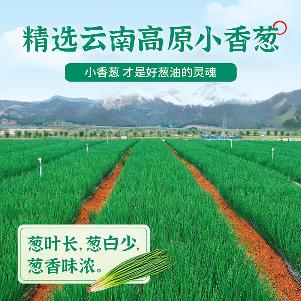 Zhongjing-Shanghai-Scallion-Oil-Seasoning-230g-1