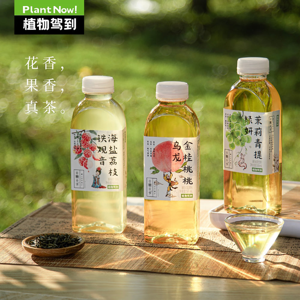 Plant-Now-Sea-Salt-Lychee-Tieguanyin-Tea,-Zero-Sugar,-Zero-Calorie---500ml-1