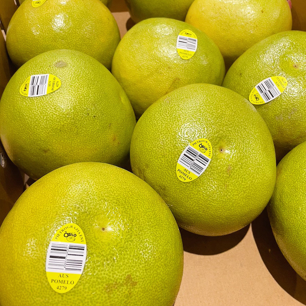 [Fresh]--Large-Australian-Local-Pomelo-(also-known-as-Shatian-Pomelo)---1-Piece-1