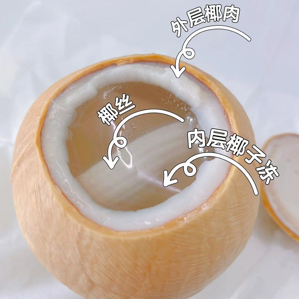 nc-coconut-coco-jelly-300g-frozen-coconut-dessert-in-natural-shell-3