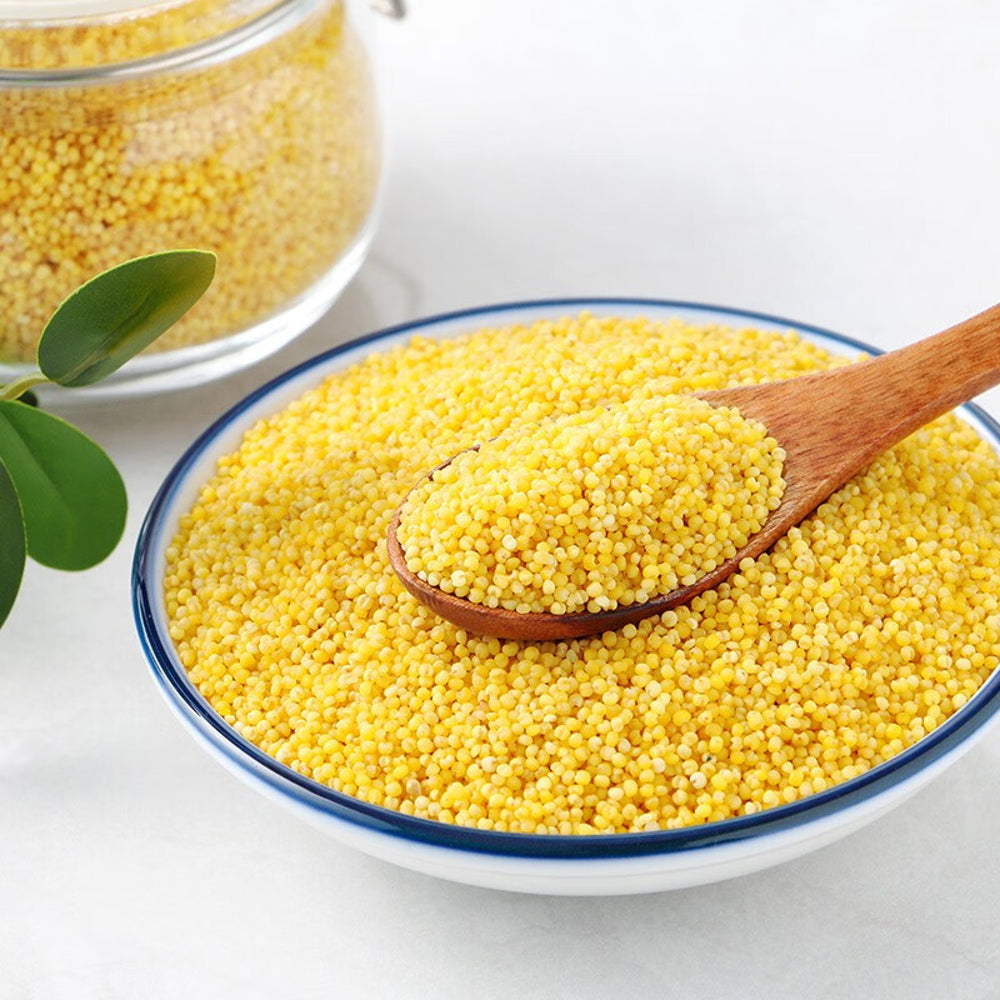 Shiyuedaotian-Shanxi-Yellow-Millet-500g-–-Premium-Hulled-Foxtail-Millet-4