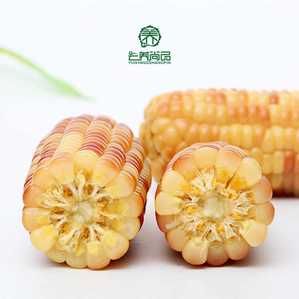 Yunyangshangpin-Flower-Glutinous-Baby-Corn---2kg-1