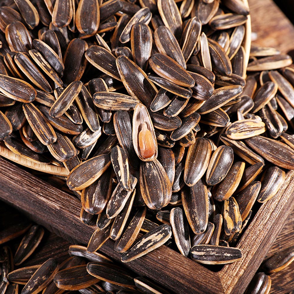 ChaCha-Roasted-Caramel-Sunflower-Seeds-450g-1