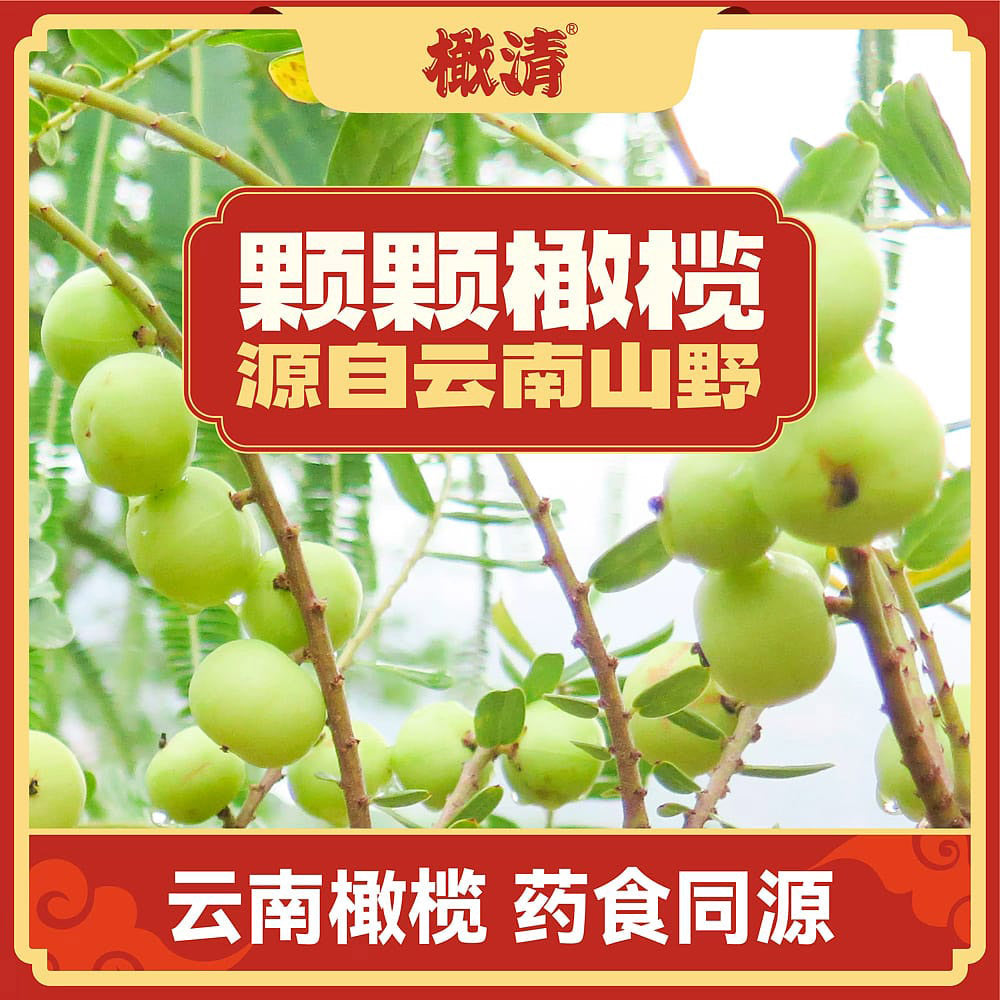 Gan-Qing-Jasmine-Yunnan-Olive-Juice-Drink---330ml-x-12-Bottles-1