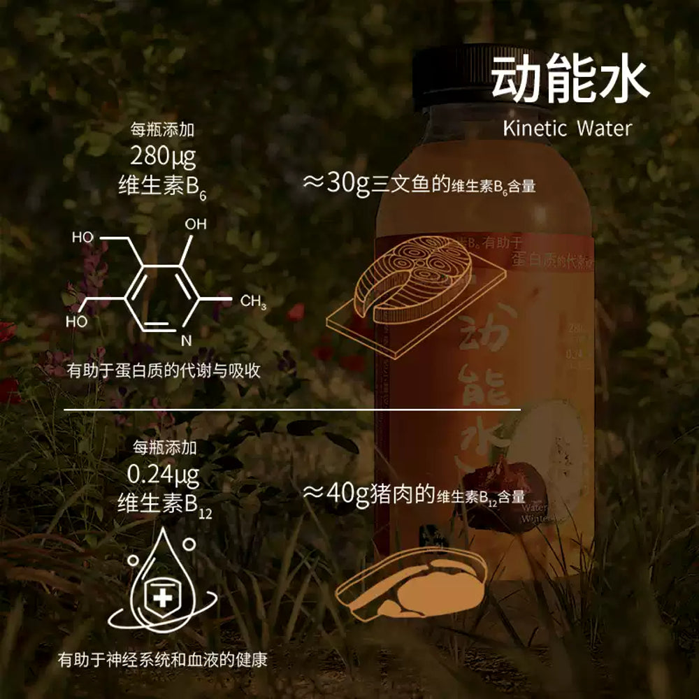 Youke-Leyuan-Water-Chestnut-&-Winter-Melon-Drink-400ml-×-12-–-Refreshing-Chinese-Herbal-Tea-3