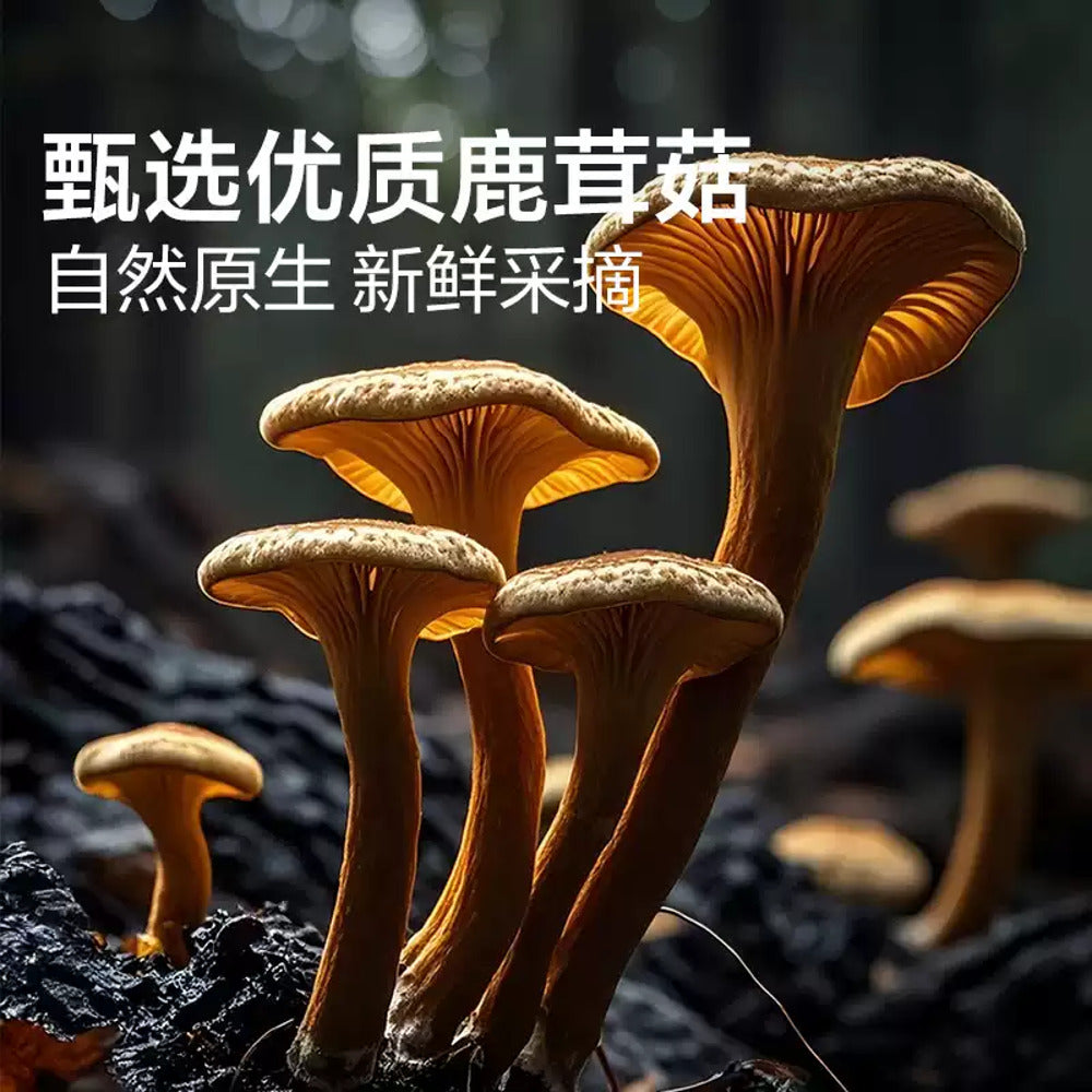 Bestore-Spicy-Velvet-Shank-Mushrooms-92g-–-Chinese-Spicy-Mushroom-Jerky-Snack-3