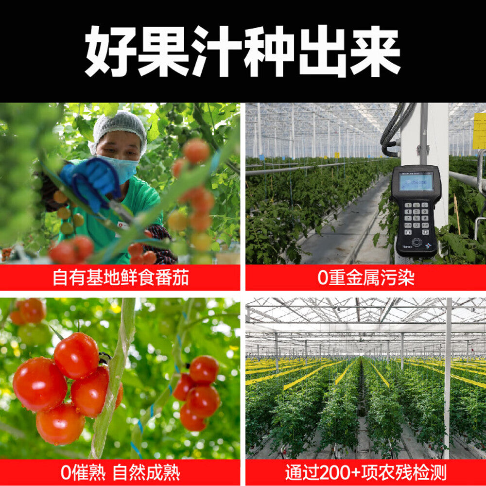 Yikeda-Tomato,-Smoked-Plum-&-Hibiscus-Drink-450ml-x-15-Bottles-(Case)-3