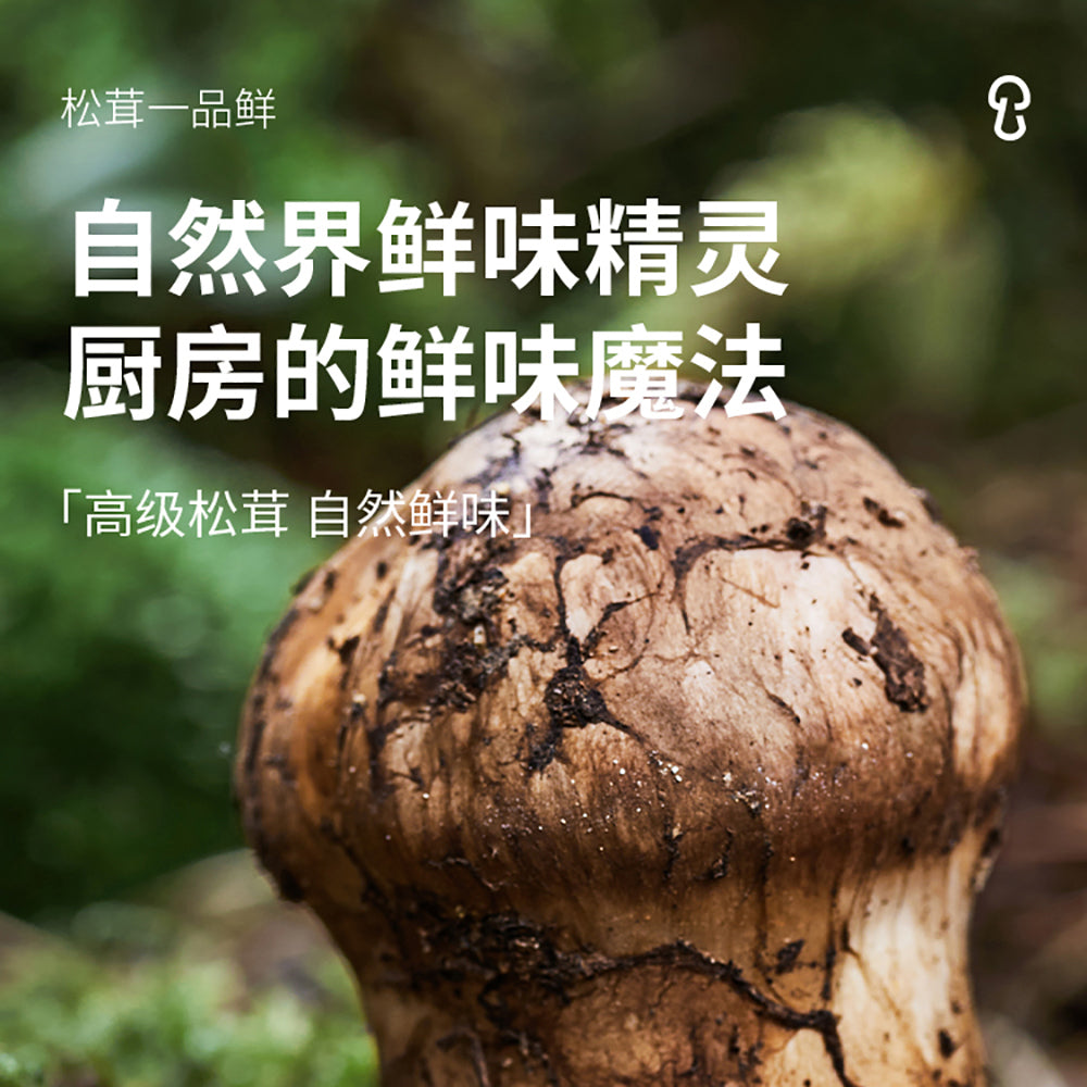 Songxianxian-Matsutake-Premium-Soy-Sauce---285g-1