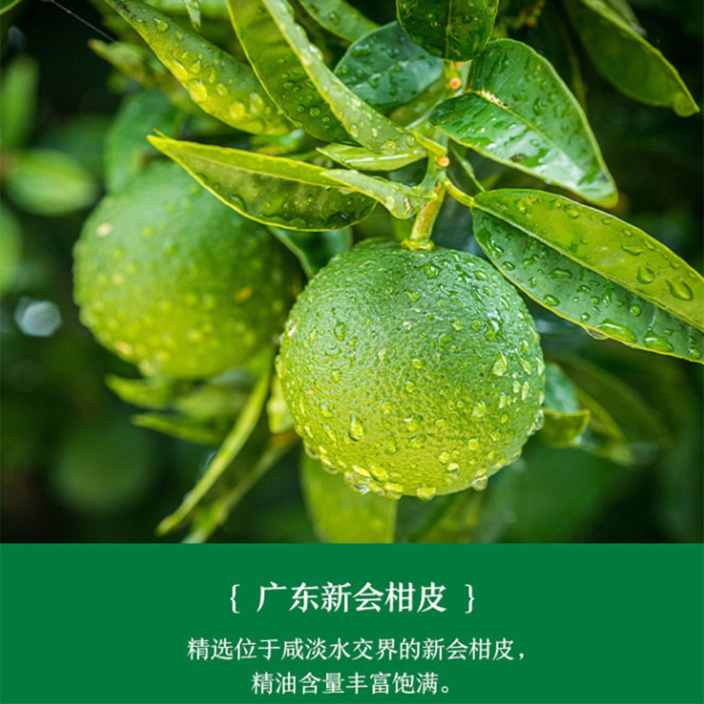 Nongfu-Spring-Oriental-Leaf-Green-Tangerine-Pu'er-Tea-500ml-X2-1