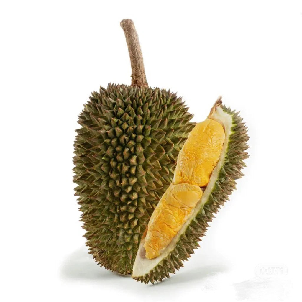 D163-Gourd-Durian-3-3.2kg-1