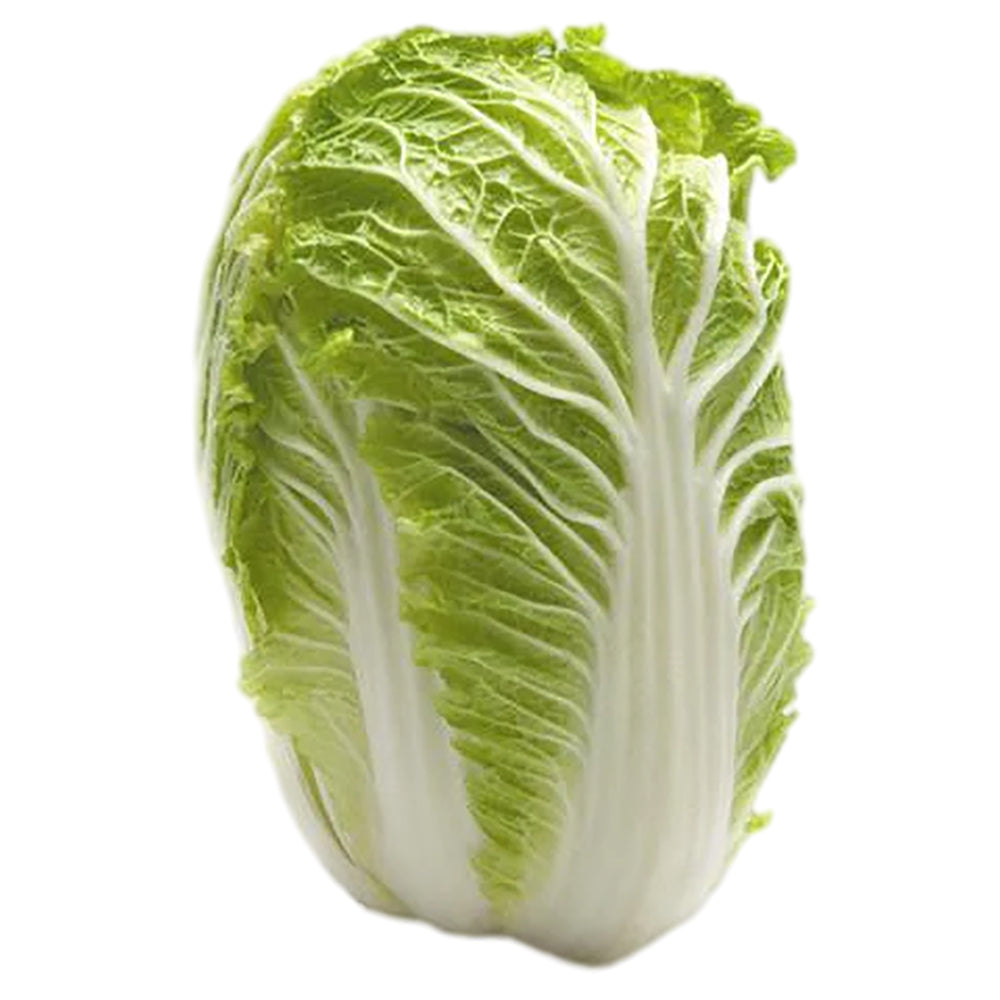 [Fresh]-Whole-Chinese-Cabbage-1