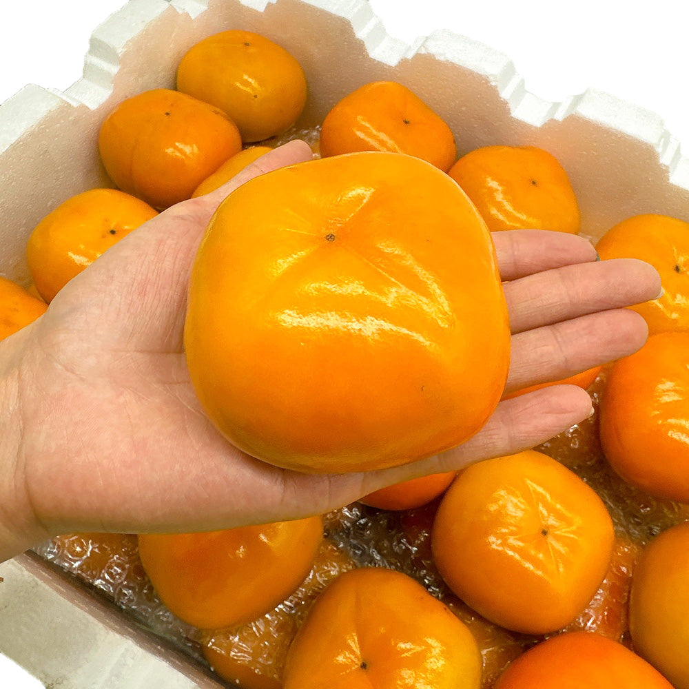 Fresh-XL-Persimmons---1kg-1