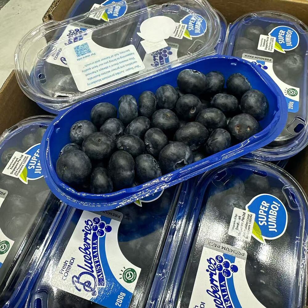 fresh-super-jumbo-blueberries-200g-punnet-1