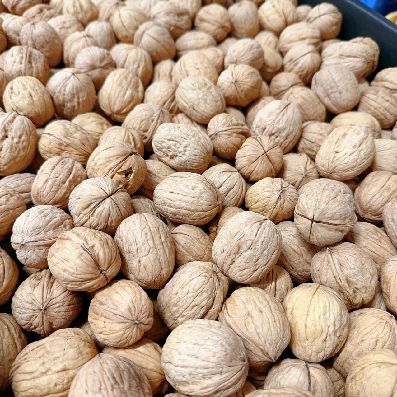 Paper-Shell-Walnuts---500g-1