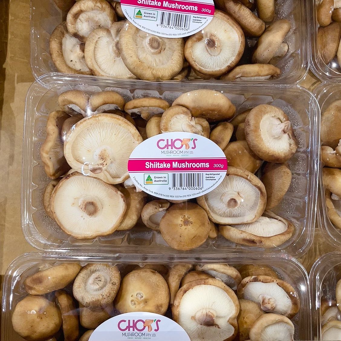 Chois-Shiitake-Mushrooms---300g -1