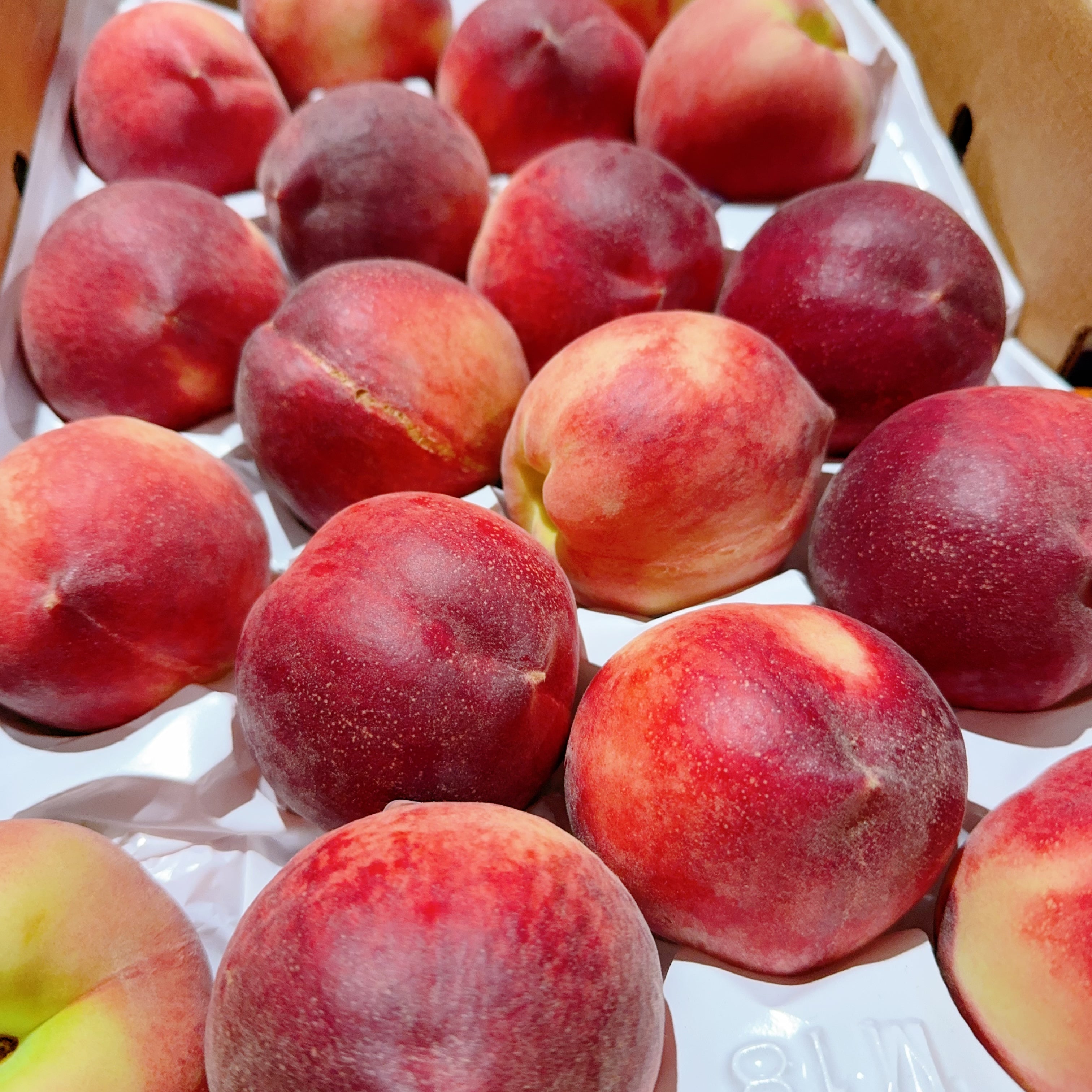 American-Peaches---2-Pieces-1