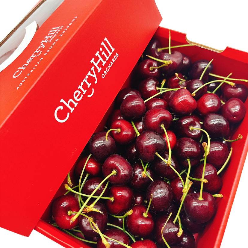 Umall-Fresh-CherryHill-Regina-Cherries-30-32mm-Christmas-Premium-Gift-Box-Approx.-1kg-1