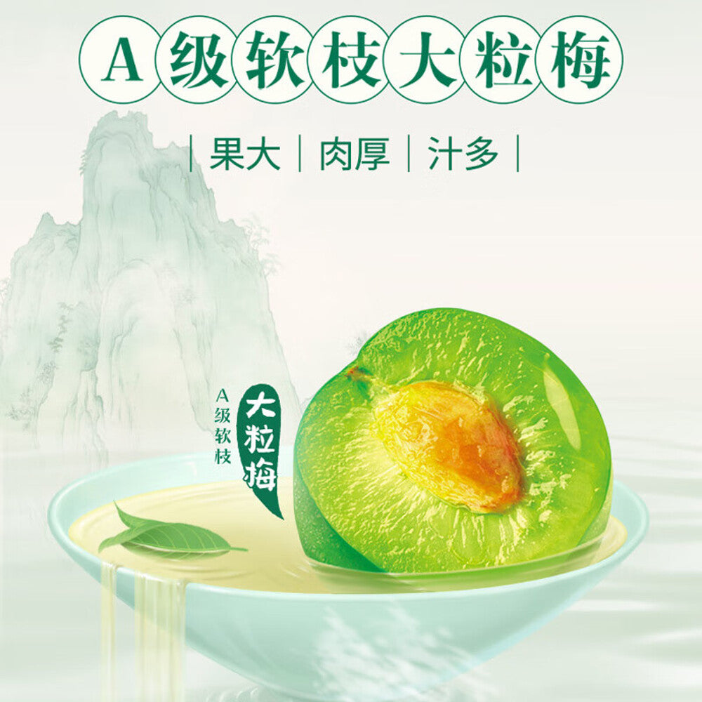 Uni-President-Green-Plum-Green-Tea-500ml---Pack-of-2-1