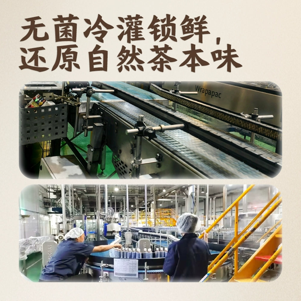 Cha-Xiaokai-Bi-Luo-Chun-Green-Tea-Drink-500ml---Snail-Spring-Chinese-Green-Tea-Beverage-4