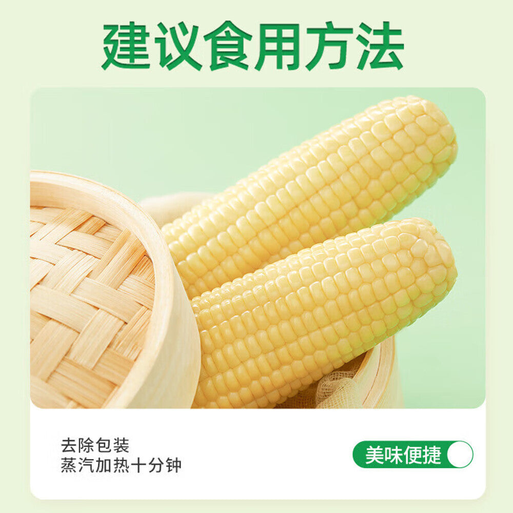 ShiYueDaoTian White Glutinous Corn - 2.08kg-1