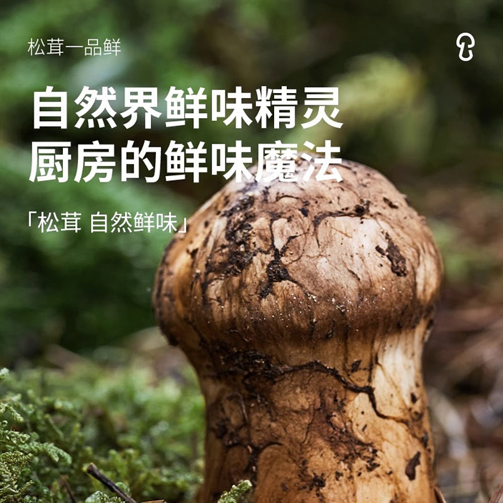 Songxian-Fresh-Matsutake-Premium-Soy-Sauce-580g-1