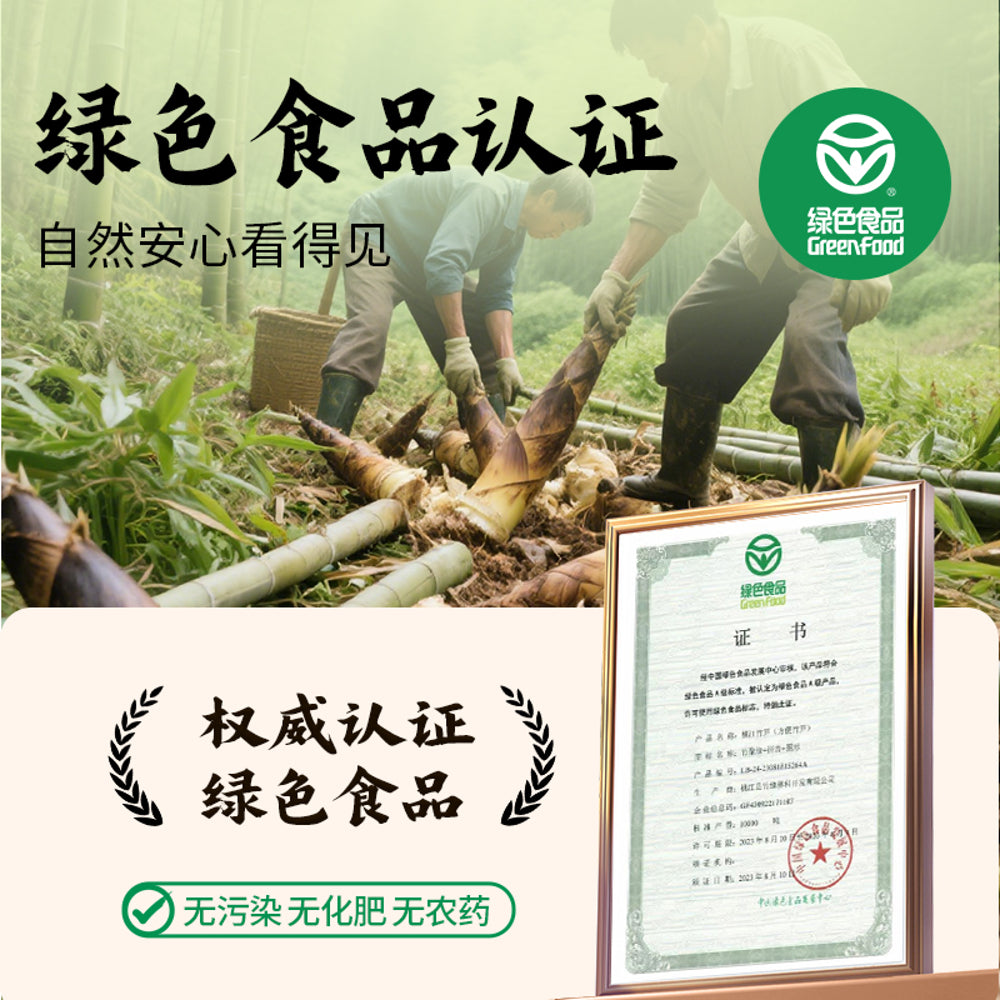 Fanpi-Brothers-Glutinous-Rice-Bamboo-Shoots-(Original-Flavour)-248g---Fermented-Shredded-Bamboo-Pickle-4