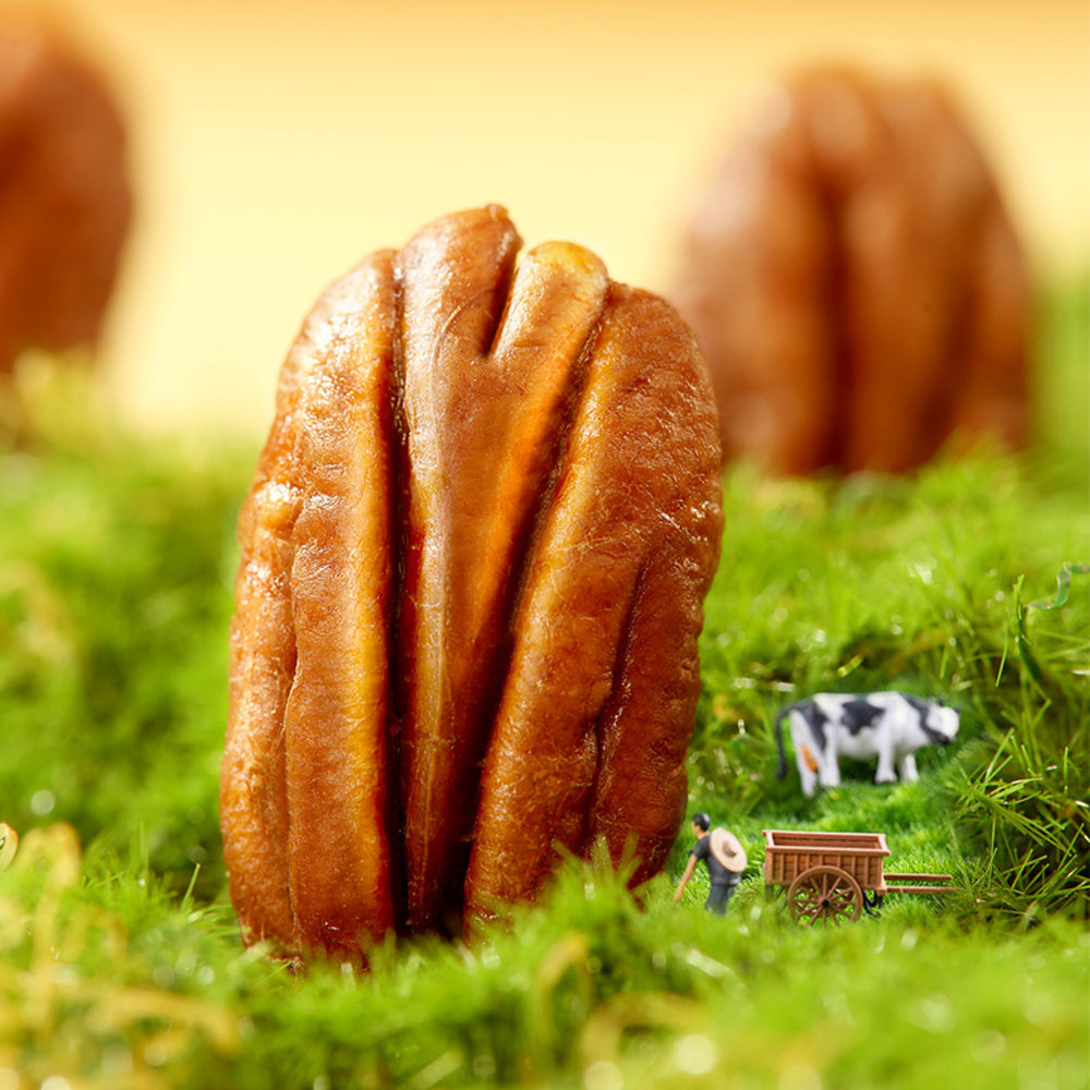 hangpai-pecan-kernels-500g-limited-import-4