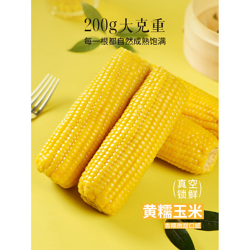 Huahotian-Glutinous-Corn---Yellow/White,-Random-Selection---200g-1