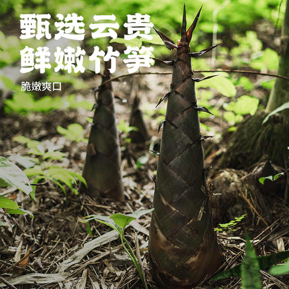 you-ni-yi-mian-secret-recipe-braised-beef-noodle-soup-420g-4