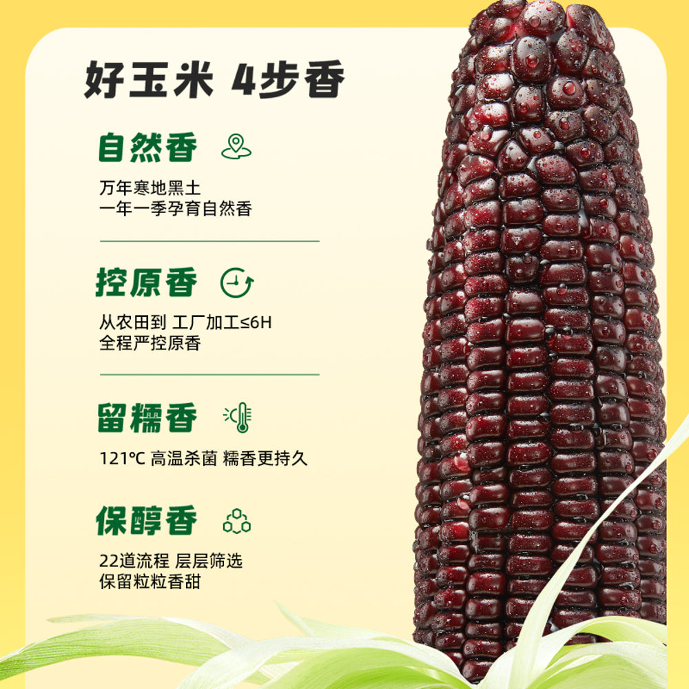 October-Rice-Field-Black-Glutinous-Corn-1.76-kg---Ready-to-Eat-Vacuum-Packs-5