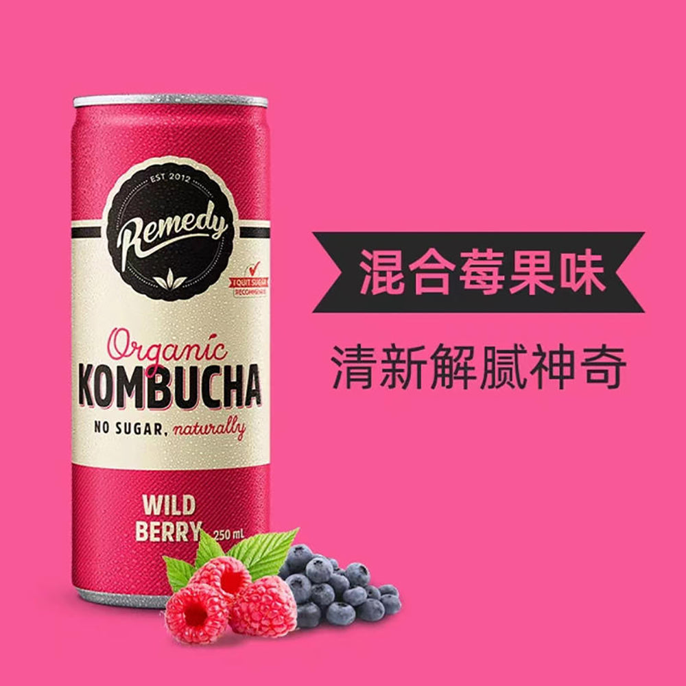 Remedy-Organic-Kombucha-Wild-Berry-Flavor---4-Cans-1