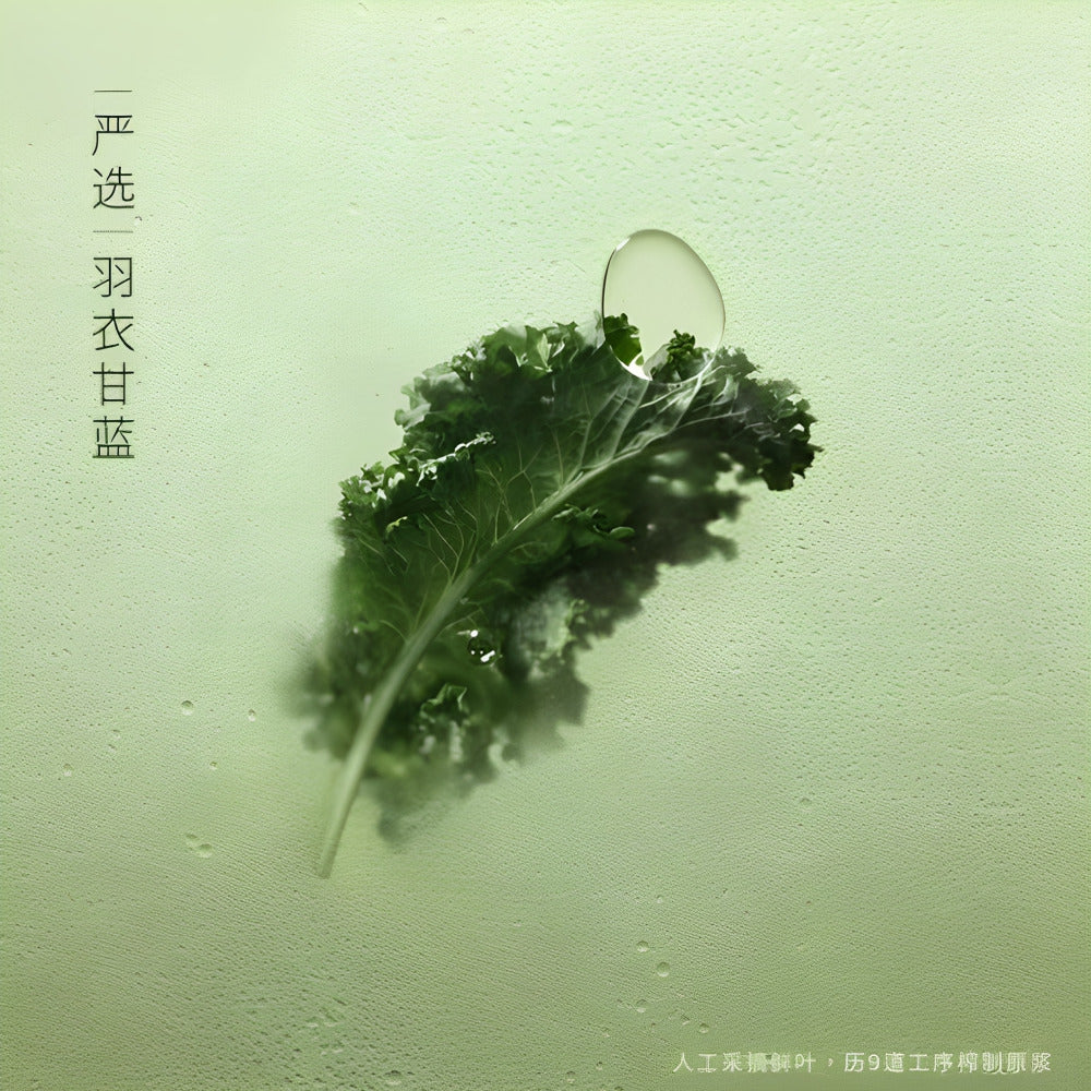 Heytea-Kale-&-Cucumber-Fruit-&-Veggie-Juice-Drink-330ml-x-12---Green-Juice-Blend---Limited-Import-4