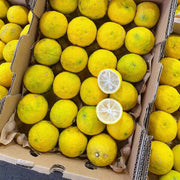 Thực phẩm châu Á ở Sydney | Mua online tại Umall at UMall Australia
