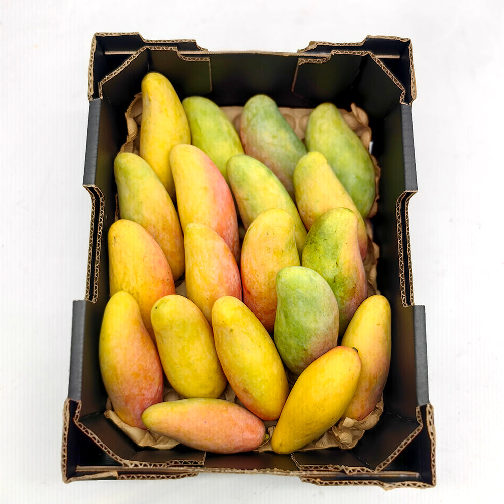 Maha-Mangoes---2-Pieces-1