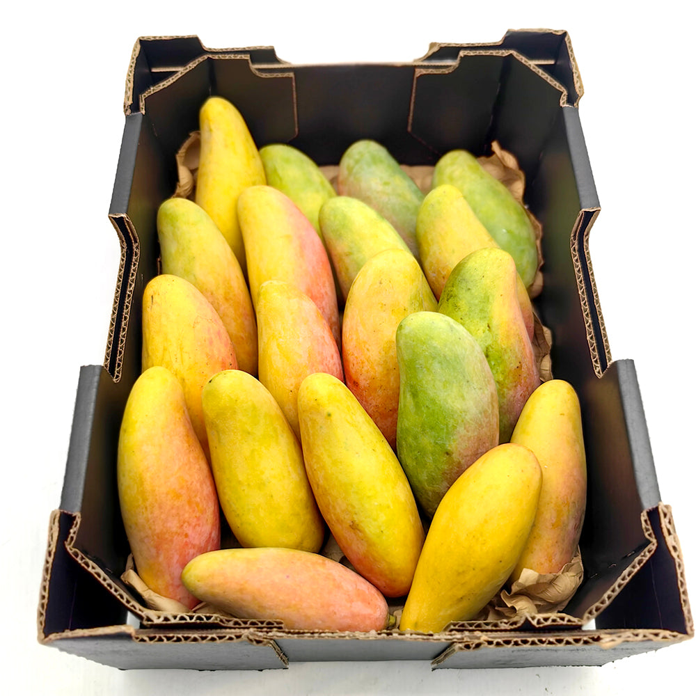 Maha-Mangoes---2-Pieces-1