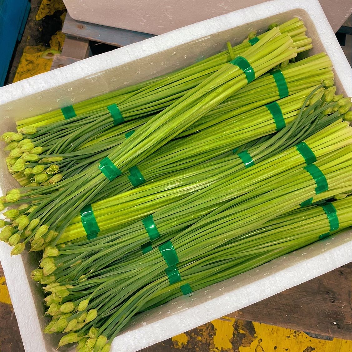 Fresh-Garlic-Chives-Flower---1-Bundle -1